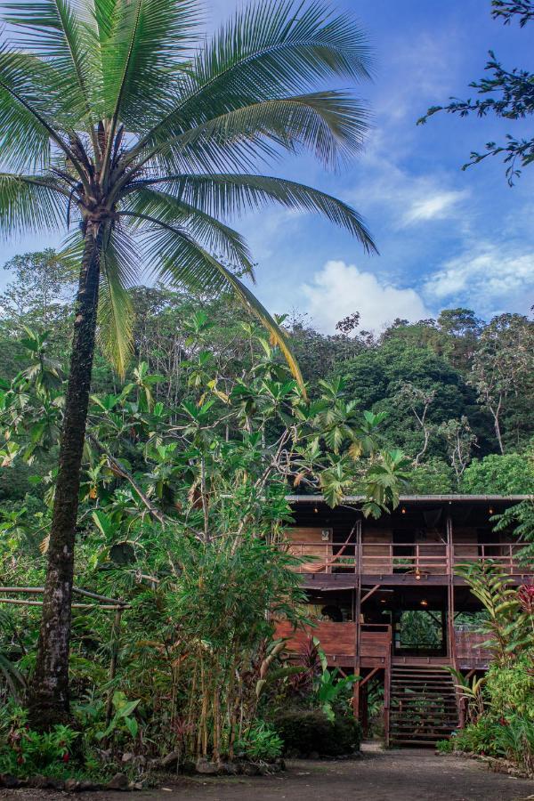The Pelican House Hostel El Valle  Eksteriør billede